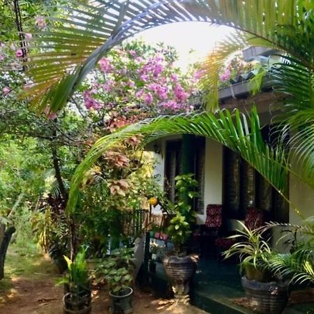 Village Feel Home Stay Sigirîya Extérieur photo