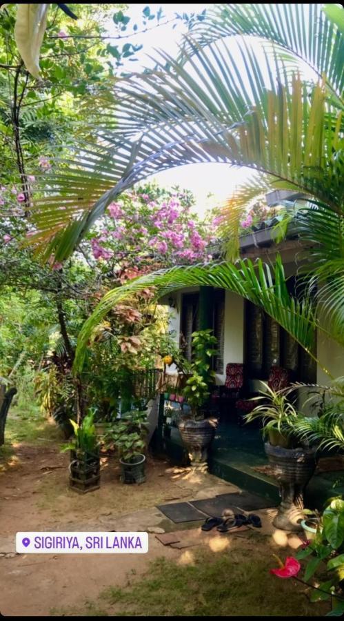 Village Feel Home Stay Sigirîya Extérieur photo
